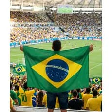 Bandeira do Brasil Grande 100x150cm Bandeirão Torcedor Capô Carro Copa do Mundo Eleições