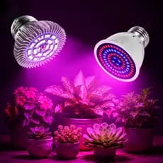 Lâmpada Led Grow Led Grow Light  Portátil Planta Crescer Luz Azul Vermelho Light Spectrum Full