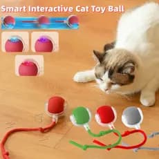 Bola Automática Interativa Do Brinquedo Gato , Recarregável Rolamento Sensor De Movimento , Interno Treinamento Exercíci