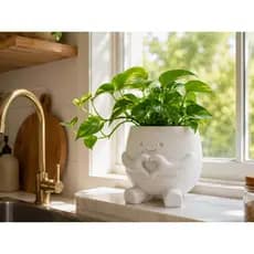 Vaso Para Plantas Cachepot de Suculentas Cactos Hortinhas Para Cozinha Quarto Sala