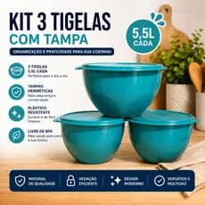 Kit 3 Cumbucas Plásticas 5,5 Litros Com Tampa Bowl Grande Saladeira Multiuso