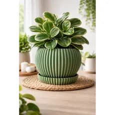 Vaso canelado com prato, Vaso de plantas, vaso para flores, vaso pequeno com prato, vaso decorativo