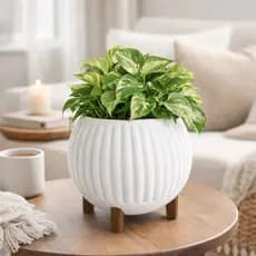 vaso de plantas - vaso para flores - Vaso para Jardim – Cachepot para Plantas