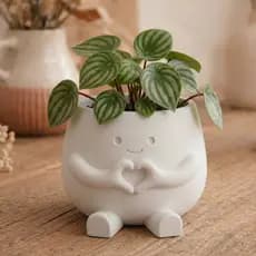 Vaso Decorativo Fofo com Mãos em Formato de coração l Porta Planta Criativo para Mesa e Escritorio l Presente Fofo
