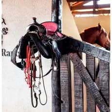 Suporte de Sela Para Parede em Aço Reforçado Porta Sela de Cavalo Metal Resistente