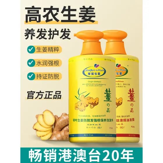 Genuíno Qin folha gengibre anti-derramamento shampoo loção fofo hidratante anti-caspa velho gengibre rei shampoo lavagem
