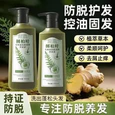 Shampoo anti-perda de folha de cipreste lateral genuíno, cabelo sólido, extrato de planta, ervas, anticaspa, shampoo fof
