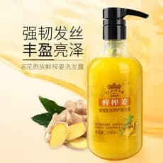 Shampoo de suco de gengibre recém-espremida, shampoo velho, gengibre, lama, Anti-perda de cabelo, shampoo nutritivo
