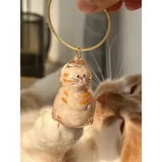 Bola de cabelo de gato pingente transparente caixa de armazenamento de cabelo de gato charme cápsula brinquedo cápsula b