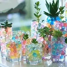 Kit 10 Saco de Bolinhas Gel Planta Cresce Água Orbeez Festa Decoração 99 Presentes