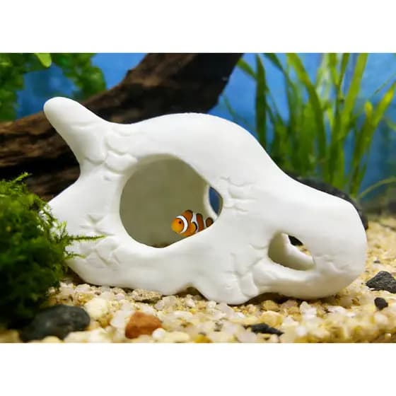 Decoração Aquario Caveira Cubone