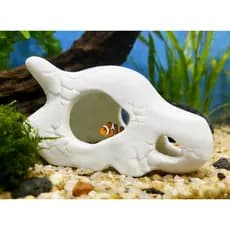Decoração Aquario Caveira Cubone