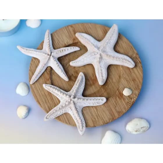 Estrela Do Mar Decorativa Aquário Realista (Afunda) - Várias Cores