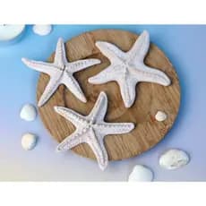 Estrela Do Mar Decorativa Aquário Realista (Afunda) - Várias Cores