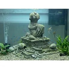 Decoração Aquario Estatua Musa - SEM OS ENFEITES DE MUSGO
