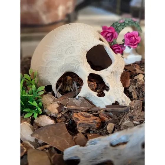 Decoração para Aquario Caveira