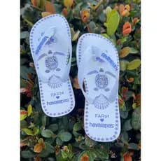 Chinelo de Dedo Feminino Confortável Leve Macio Flexível do 33 ao 40 ideal para Praia/Lazer