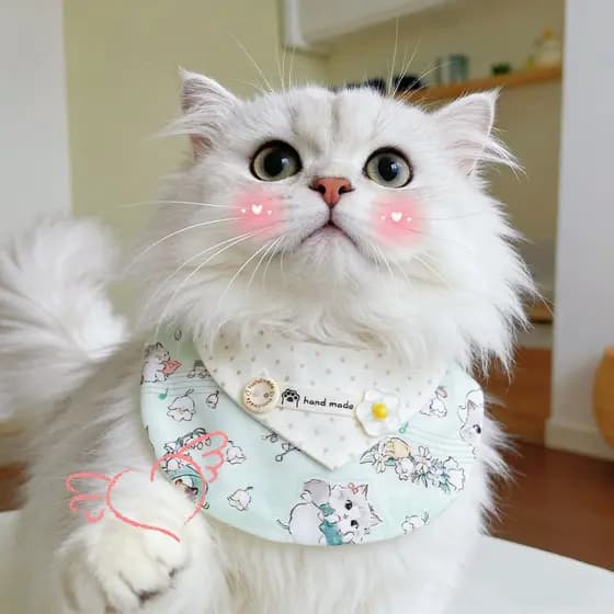 Coleira impressa para cachorro, gato fofo, desenho animado, babador para animais de estimação, pequeno, médio porte, pel