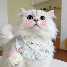 Coleira impressa para cachorro, gato fofo, desenho animado, babador para animais de estimação, pequeno, médio porte, pel