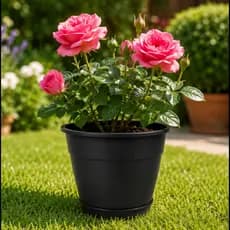 Kit 2 Vasos Com Prato 1,5 Litros 15cm Plantas flores 3 cores bege preto marrom com prato acoplado