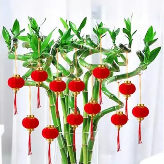 Sala de estar planta verde Bonsai vaso planta Fu personagem lanterna pingente pequeno pingente Fugui bambu felicidade fo