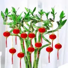 Sala de estar planta verde Bonsai vaso planta Fu personagem lanterna pingente pequeno pingente Fugui bambu felicidade fo