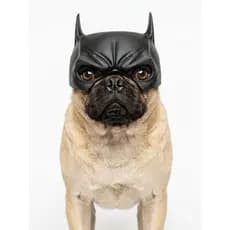máscara batman para dogs/gatos