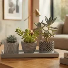 Kit 3 Vasos Decorativos para Suculentas | Vaso Pequeno, vaso de plata Moderno Geométrico Decoração