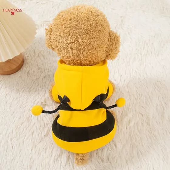 Roupas para cães outono inverno forro de lã engrossado abelha moletom roupas para gatos pequenos roupas para animais de