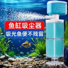 Novo filtro embutido para tanque de peixes, banco de vaso sanitário de peixes, ferramenta útil de sucção, filtro Anti-re