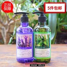 Zhensi aromaterapia família lavanda dinâmico elástico azeite preto brilhante hidratante Gel creme elastina produto genuí