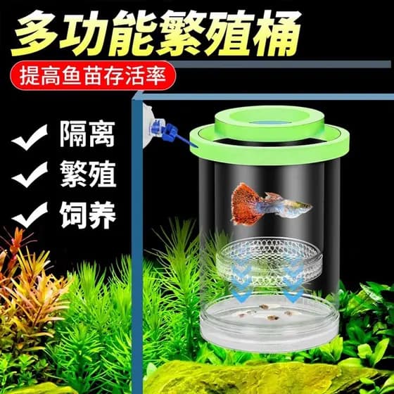 Caixa de isolamento para tanque de peixes, caixa de reprodução de Guppy, incubadora de tanque de peixes pequenos, peixes