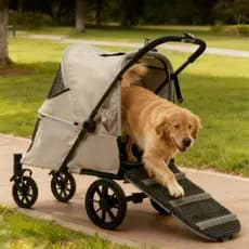 Vem com carrinho de escalada para animais de estimação, carrinho dobrável para cães idosos, carrinho para animais de est