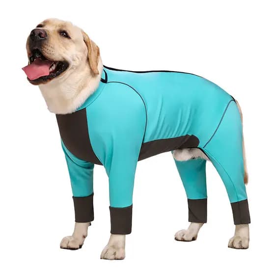 Roupas para cães grandes outono inverno Labrador golden retriever golden retriever médio grande proteção conjunta para c