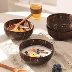 Copo de aveia tigela de café da manhã tigela de casca de coco tigela de casca de coco tigela de iogurte tigela de sobrem