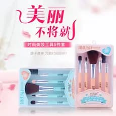 Beitingna Beauty Tool Conjunto de 5 peças Conjunto de pincéis de maquiagem portátil Blush Foundation Brush Lip Brush Pin