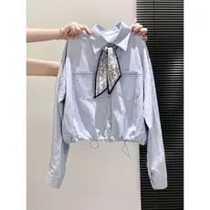 Lenço de seda grátis início do outono estilo coreano luz estilo luxo usar camisa de manga comprida camisa feminina lapel