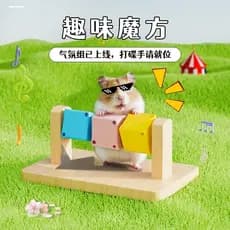Hamster divertido cubo de rubik prato brinquedo urso dourado evitar molares de madeira pequenos animais de estimação ded