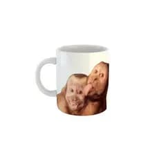 Caneca Meme Casal engraçado de Macaquinhos