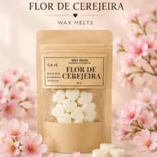 Pastilhas Aromáticas - WAX MELT 16 gr Para Difusor Aromatizante Cera de Côco
