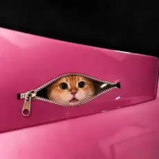 [Gatinho carro] zíper gato adesivo de carro capa Scratch adesivo protetor solar à prova d'água sem cola adesivo de decor