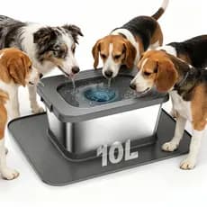 Newpet 10L Bebedouro Pet Premium Anti-Respingo Para Cães E Gatos Não Molha os Pelos Com Bóia Flutuante