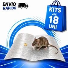 Kit Cola Pega R@to R@toeira Adesiva Anti Barata Insetos Pragas Gruda Forte armadilha ratoeira caça camundongo