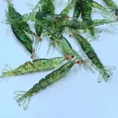 Dupladuoyu 20 Pcs Isca De Pesca De Camarão Macio 40mm/50mm Silicone Multi-Jointed Macia Artificial Equipamento