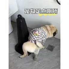 Pet ponto fixo toalete fixo mudando esteira filhote de cachorro mictório defecação ferramenta útil pequeno cão masculino