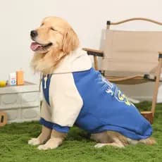 Roupas para cães outono inverno estilo Labrador grande cão lado pastor roupas para animais de estimação primavera outono