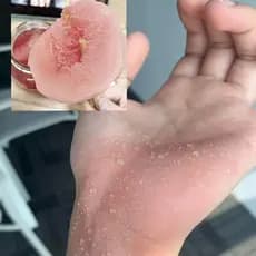 Sombra líquida rosa cinza monocromática sob janeiro rosa pode ser usada como Blush clareamento Natural estudante barato