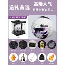 Presente de aniversário de futebol Treinamento de competição de futebol da Copa do Mundo No. 5 Campeonato da Copa Europe