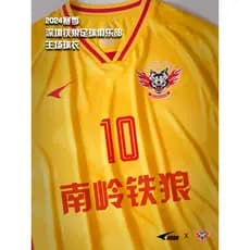 Ucan ucan 2024 temporada de jogo Shenzhen ferro lobo futebol clube casa terno cinco Super jogador edição camisa