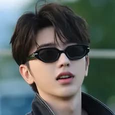 Influenciador Mesmo Estilo Óculos de Sol Masculino High-End Sense Cool Small Frame Rosto Redondo Feminino Street Shootin